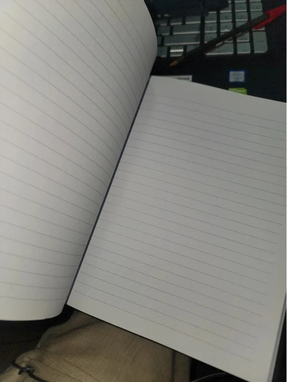 Wednesday offical nightshade society journal